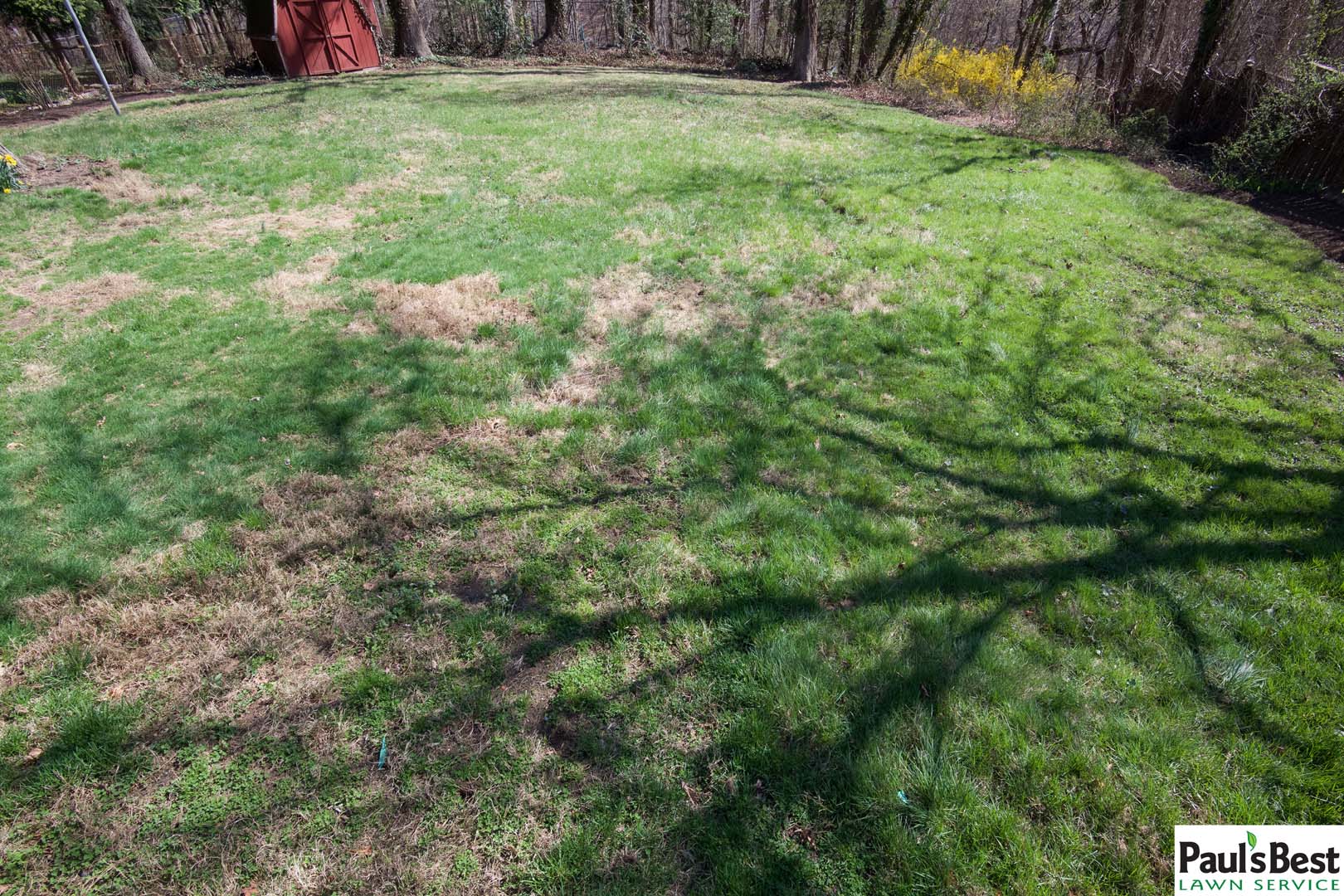 https://www.paulsbestlawn.com/pbls-img/portfolio/lawn-mowing-lawn-fertilization-and-treatment/before-and-after/web-ready/large/BALM1-b-After-2-Years-Turf-Care-and-Lawn-Maintenance-Arlington-VA.jpg
