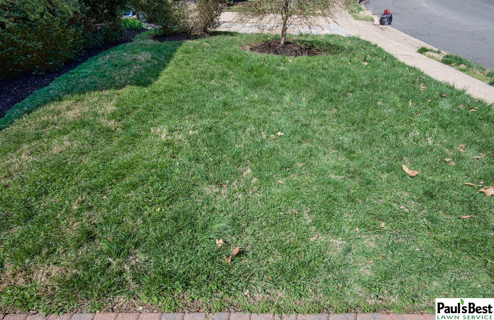 https://www.paulsbestlawn.com/pbls-img/portfolio/lawn-mowing-lawn-fertilization-and-treatment/before-and-after/web-ready/large/BALM1-f-After-2-Years-of-Pauls-Best-Turf-Care-Program-With-Mowing-in-Arlington-VA.jpg